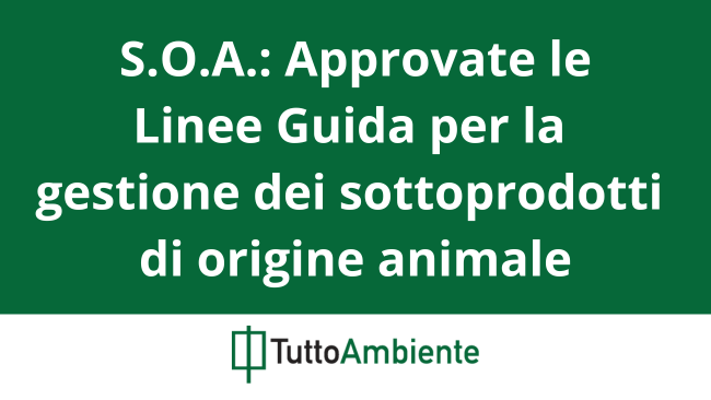 SOA: approvate le Linee Guida per la gestione dei sottoprodotti di origine animale